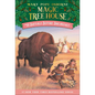 Buffalo Before Breakfast - Hardcover