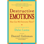 Destructive Emotions: A Scientific Dialogue with the Dalai Lama - Paperback
