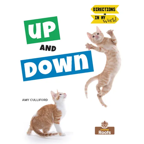 Up and Down - Library Binding