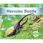 Hercules Beetle - Library Binding