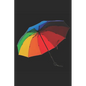 It's not often that a rainfall makes a rainbow inside me - Paperback