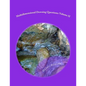 Multidimensional Dowsing Questions: Volume II - Paperback