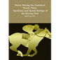 Horse Racing Statistical Route Three - Spotform and Speed Ratings of the Racing Post - Paperback