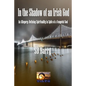 In The Shadow of an Irish God - Paperback