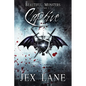Captive: Beautiful Monsters Vol. 1 - Paperback