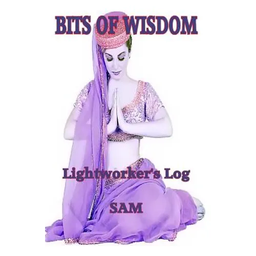 Bits of Wisdom: Lightworker's Log - Paperback
