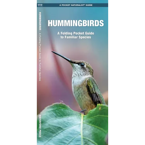 Hummingbirds: A Folding Pocket Guide to Familiar Species