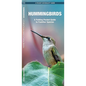 Hummingbirds: A Folding Pocket Guide to Familiar Species