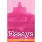 Essays - Paperback