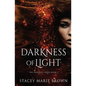 Darkness of Light - Paperback