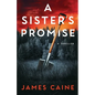 A Sister's Promise: A Thriller - Paperback