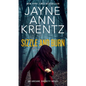 Sizzle and Burn - Paperback