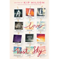 All the Love Under the Vast Sky - Hardcover
