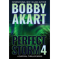 Perfect Storm 4: Post Apocalyptic Survival Thriller - Hardcover