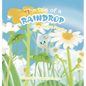 The tale of a raindrop - Hardcover