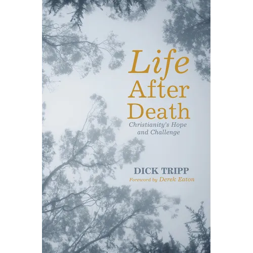 Life After Death: Christianity's Hope and Challenge - Paperback
