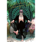 Birds of Shangri-La, Vol. 2 - Paperback