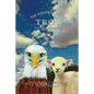 The Adventures of Troy Rescuing Lily the Lamb - Paperback