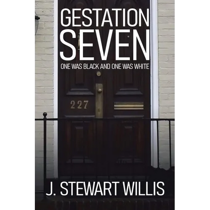 Gestation Seven: One Was Black and One Was White - Paperback