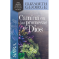 Sara, Camina En Las Promesas de Dios - Paperback