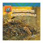Animales Que Son Arquitectos: Animal Architects - Hardcover