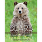 Bears of the North: A Year Inside Their Worlds - Hardcover