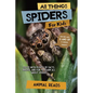 All Things Spiders For Kids: Filled With Plenty of Facts, Photos, and Fun to Learn all About Spiders - Paperback