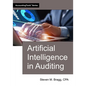 Artificial Intelligence in Auditing - Paperback