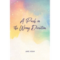 A Push in the Wrong Direction - Paperback