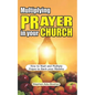 Multiplying Prayer in your Church: How to Start and Multiply Prayer to Back your Ministry - Paperback