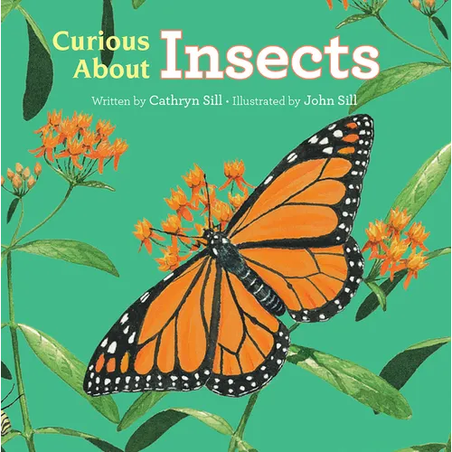 Curious about Insects - Board Book