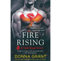Fire Rising: A Dark Kings Novel - Paperback