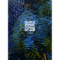 Wetland Project: Explorations in Sound, Ecology and Post-Geographical Art - Hardcover