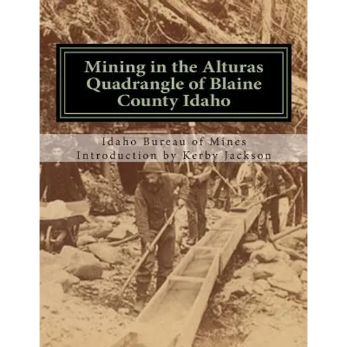 Mining in the Alturas Quadrangle of Blaine County Idaho - Paperback