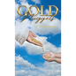 Gold Nuggets: A Priceless Journey - Hardcover