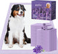 Extra Large Dog Pee Pads 28x34 Lavender Scent Leak Proof 8 Cup 40 Count