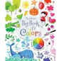 Big Book of Colors - Board Book