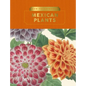 Kew Pocketbooks: Mexican Plants - Hardcover