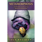 Metamorphosis: One Woman's Journey to Find Serenity & Empowerment - Paperback