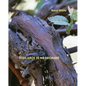 Vigilance Is No Orchard - Paperback