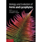 Biology and Evolution of Ferns and Lycophytes - Paperback