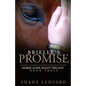 Brielle's Promise: Horse Gone Silent Trilogy Book 3 - Paperback