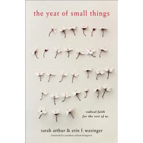 The Year of Small Things: Radical Faith for the Rest of Us - Paperback
