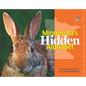 Minnesota's Hidden Alphabet - Hardcover