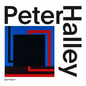 Peter Halley: Paintings of the 1980s: The Catalogue Raisonné - Hardcover