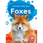Foxes - Paperback