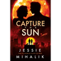 Capture the Sun - Paperback