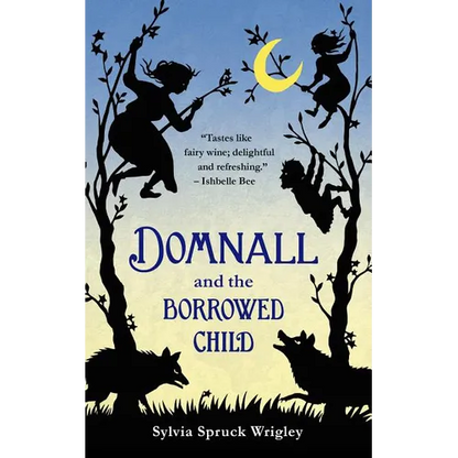Domnall and the Borrowed Child - Paperback