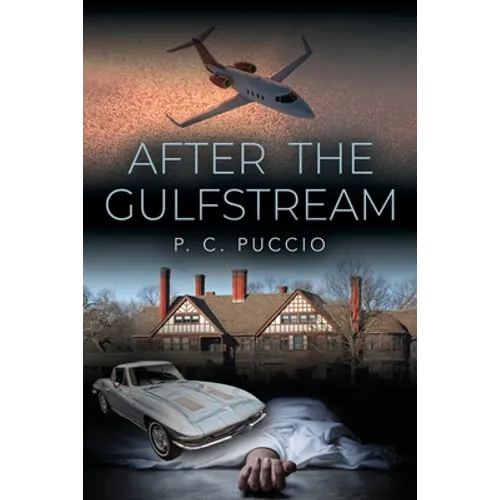 After the Gulfstream - Paperback