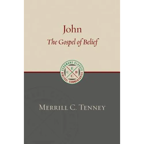John: The Gospel of Belief: An Analytic Study of the Text - Paperback